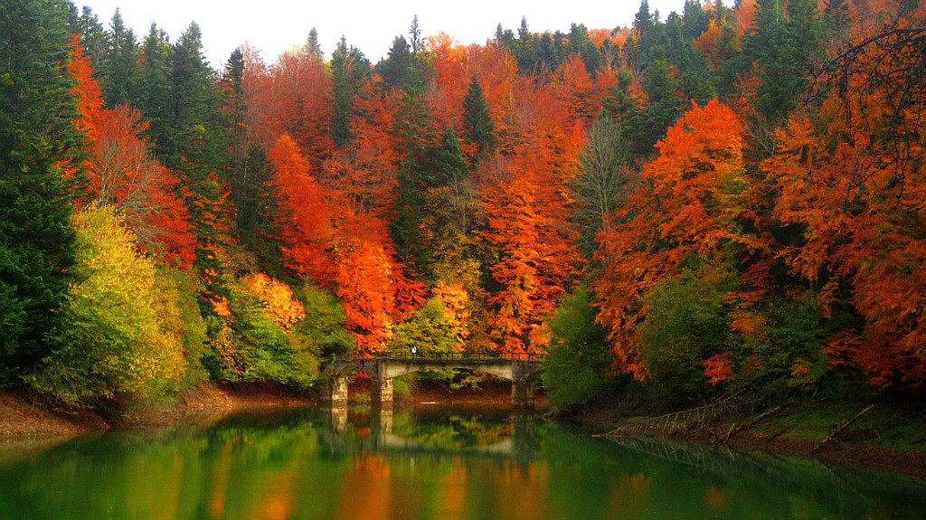 paisajes naturales de españa